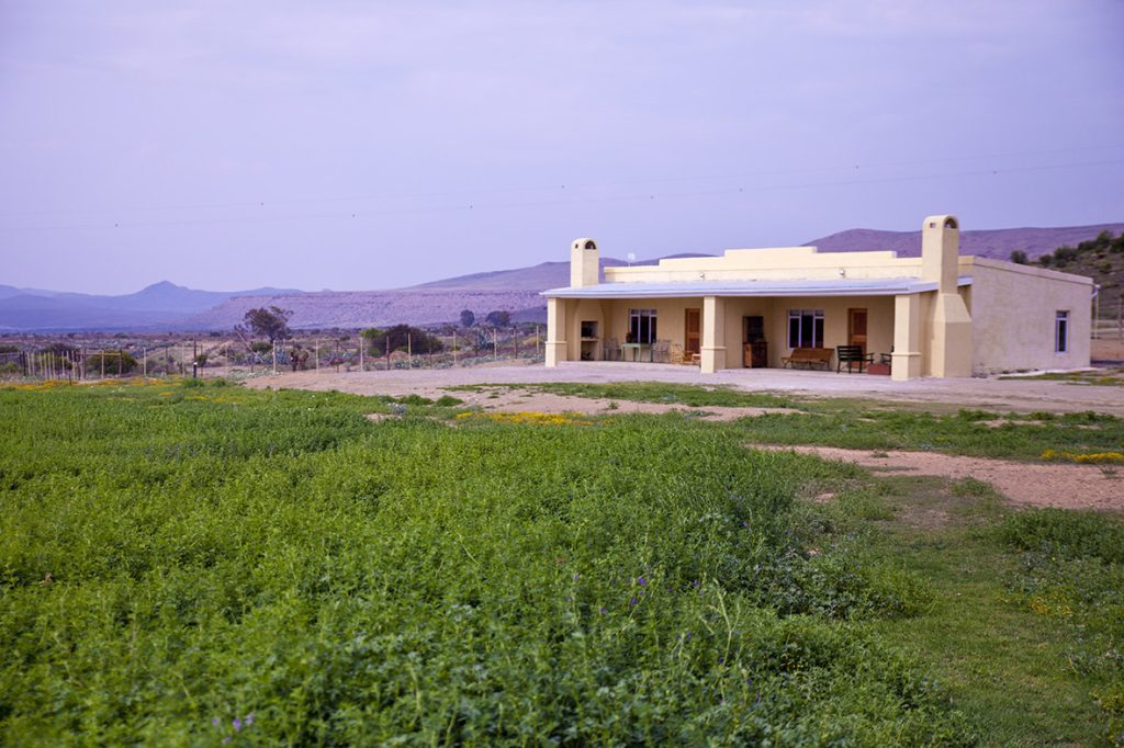 Nieu-Bethesda Camino Accommodation_Kareelaagte