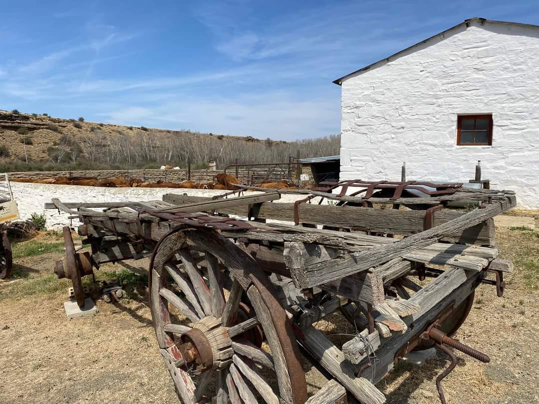 Karoo Escape Ganora Guestfarm