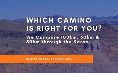 Which Camino is Right for You?